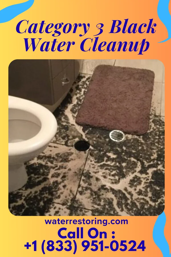 Category 3 Black Water Cleanup in Weatherford, TX