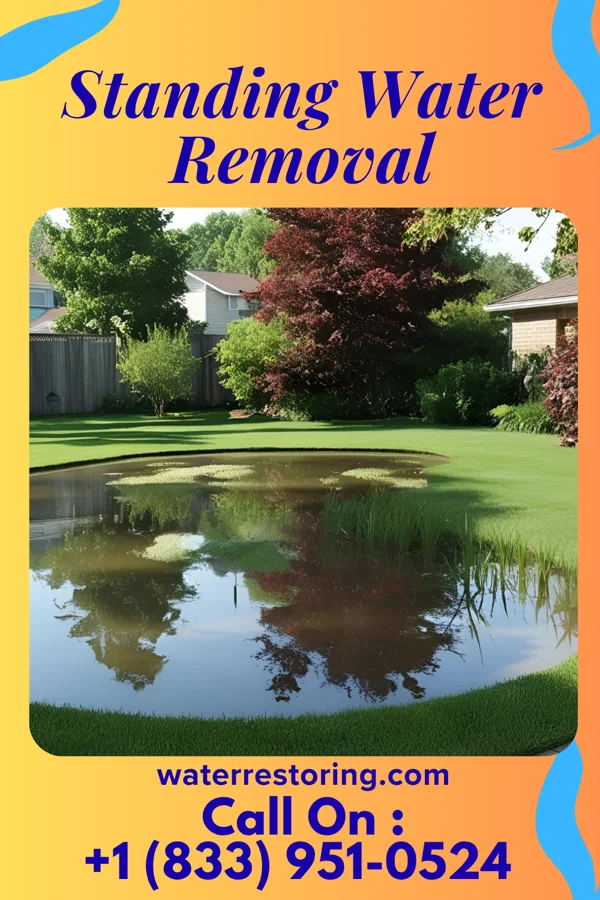 Standing Water Removal in Weatherford, TX